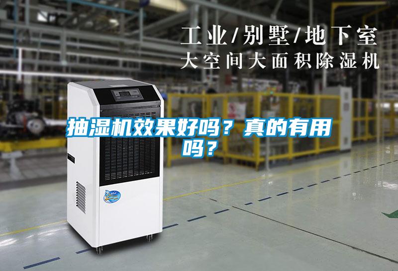 国产精品三级在线观看 抽湿机效果好吗？真的有用吗？