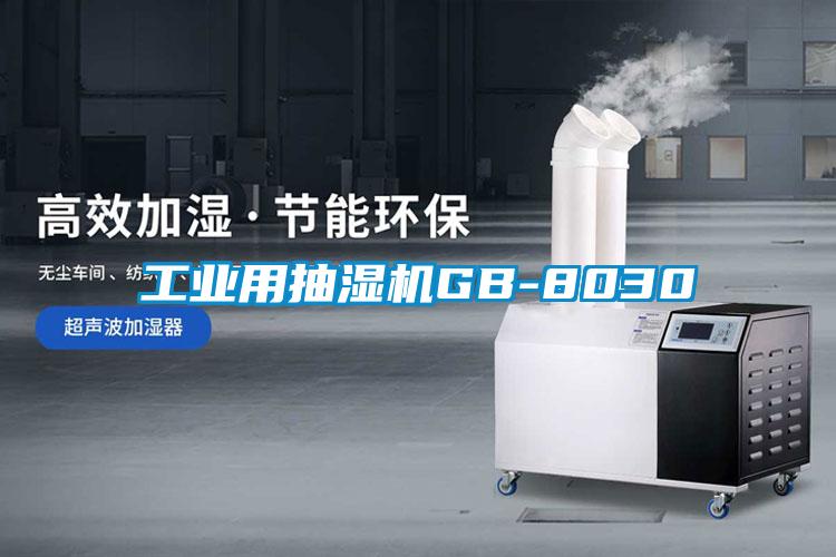 国产精品探花在线观看 工业用抽湿机GB-8030