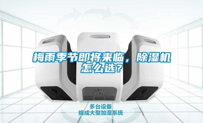国产精品探花在线观看 梅雨季节即将来临，除湿机怎么选？