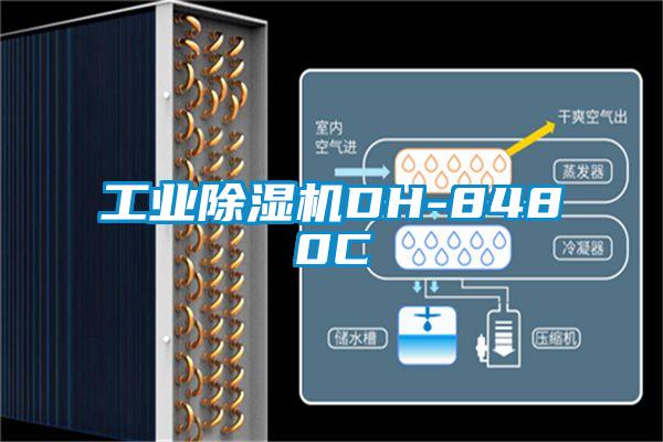 国产精品三级在线观看 工业除湿机DH-8480C
