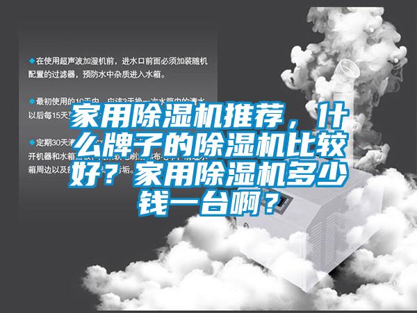 家用除湿机推荐，什么牌子的除湿机比较好？家用除湿机多少钱一台啊？
