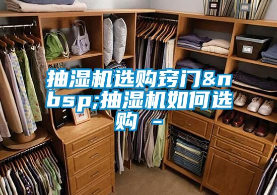 国产精品欧美激情视频 抽湿机选购窍门 抽湿机如何选购 -