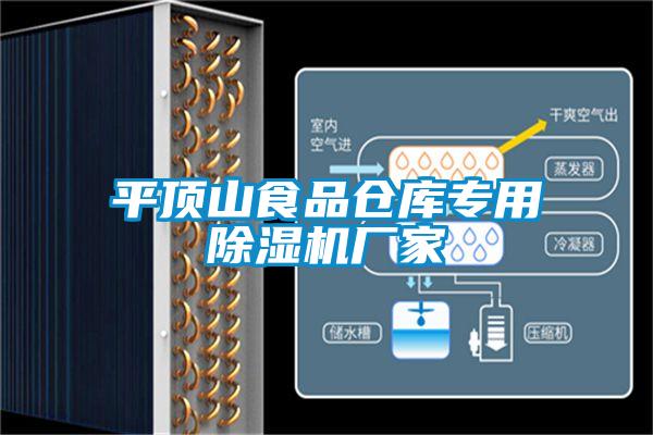 国产精品三级在线观看 平顶山食品仓库专用除湿机厂家