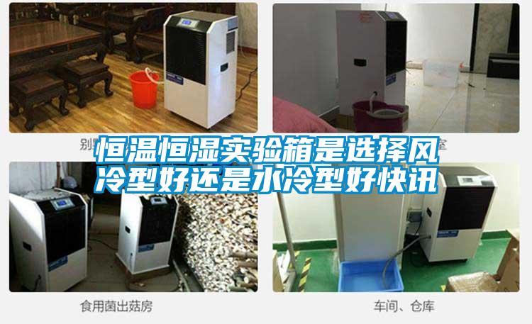 国产精品欧美激情视频 恒温恒湿实验箱是选择风冷型好还是水冷型好快讯