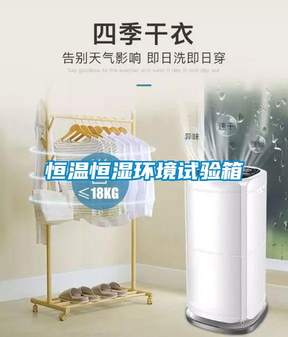 国产精品欧美激情视频 恒温恒湿环境试验箱