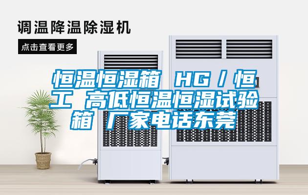 国产精品三级在线观看 恒温恒湿箱 HG／恒工 高低恒温恒湿试验箱 厂家电话东莞