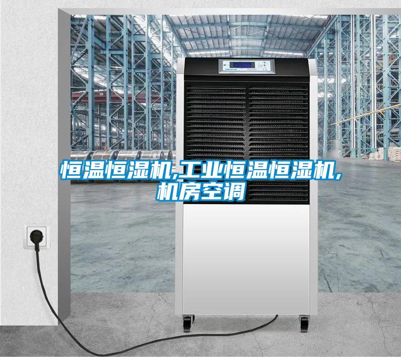 国产精品欧美激情视频 恒温恒湿机,工业恒温恒湿机,机房空调