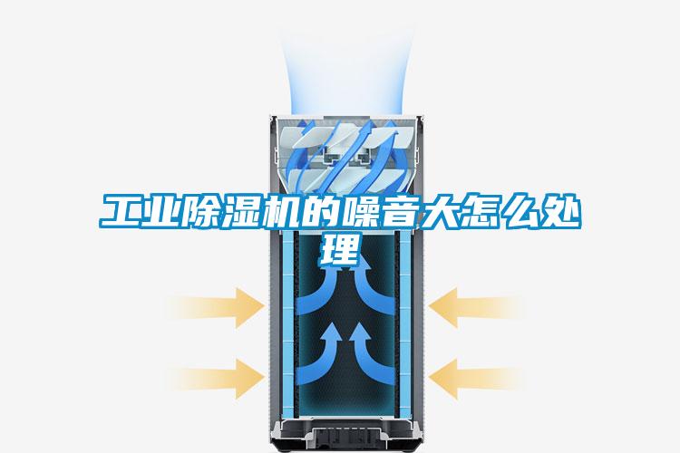 国产精品探花在线观看 工业除湿机的噪音大怎么处理