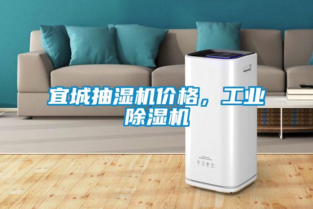 国产精品探花在线观看 宜城抽湿机价格，工业除湿机
