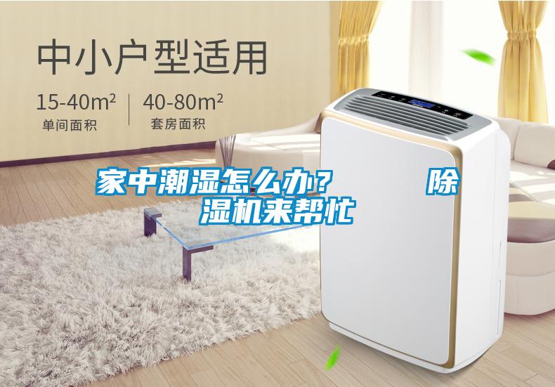 国产精品欧美激情视频 家中潮湿怎么办？    除湿机来帮忙