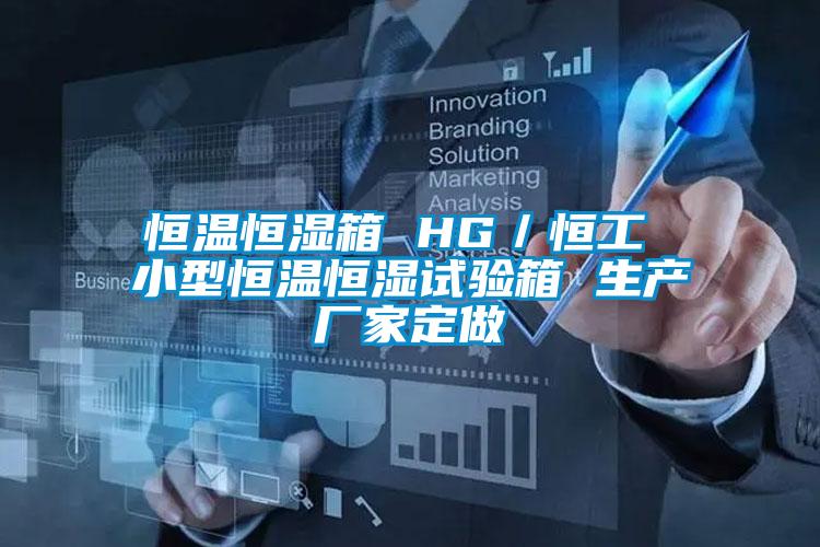 国产精品三级在线观看 恒温恒湿箱 HG／恒工 小型恒温恒湿试验箱 生产厂家定做