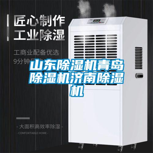 国产精品三级在线观看 山东除湿机青岛除湿机济南除湿机