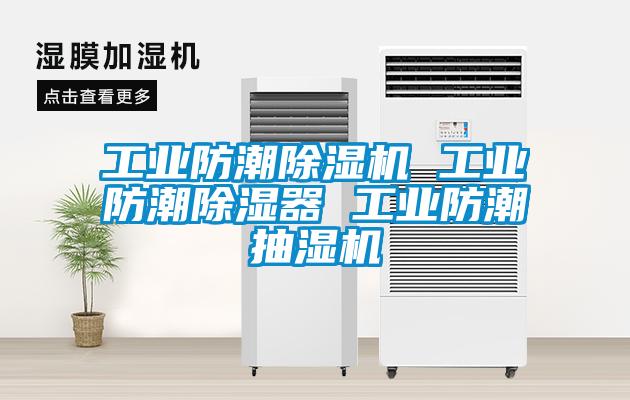国产精品三级在线观看 工业防潮除湿机 工业防潮除湿器 工业防潮抽湿机