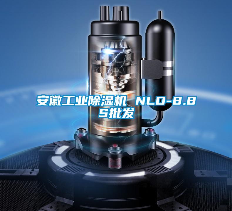 国产精品三级在线观看 安徽工业除湿机 NLD-8.8S批发