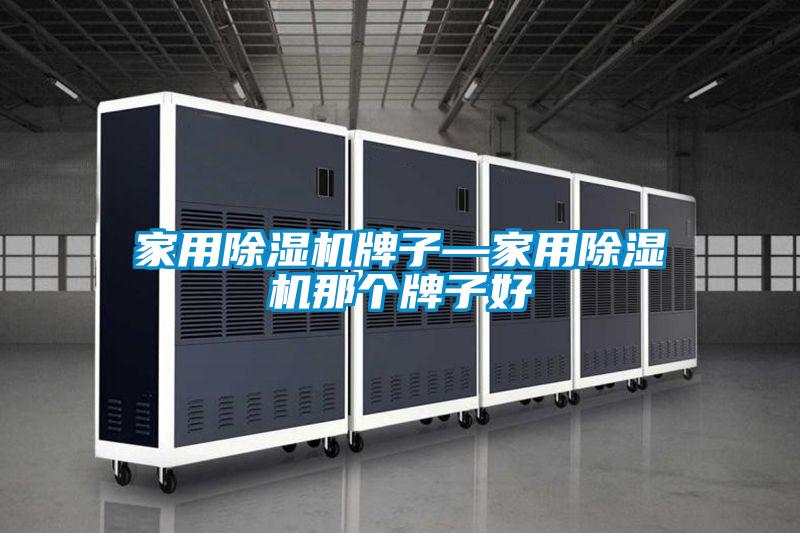 国产精品欧美激情视频 家用除湿机牌子—家用除湿机那个牌子好