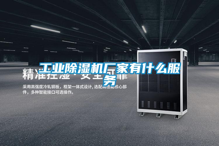 国产精品欧美激情视频 工业除湿机厂家有什么服务