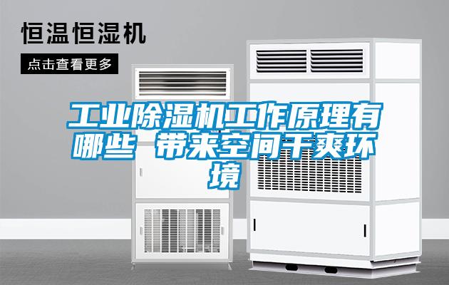 国产精品三级在线观看 工业除湿机工作原理有哪些 带来空间干爽环境