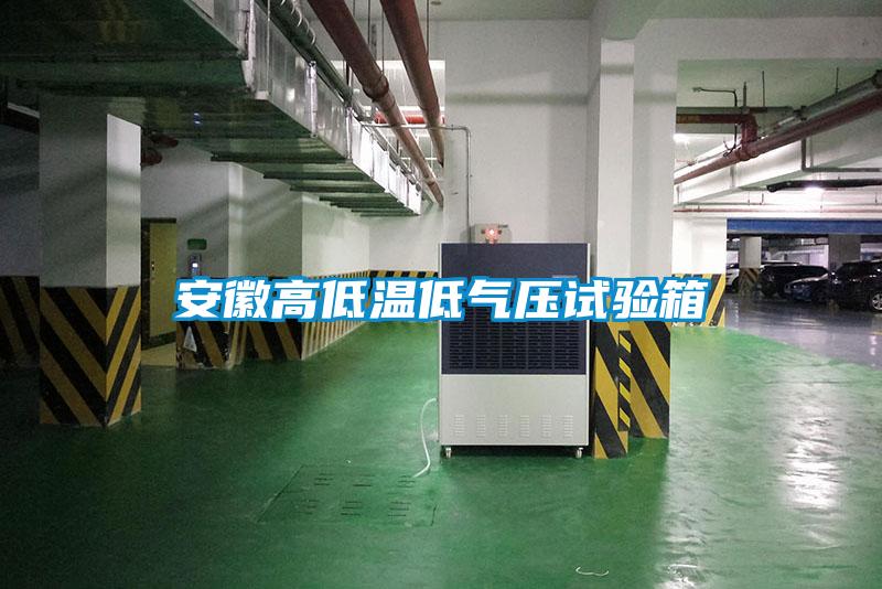 国产精品三级在线观看 安徽高低温低气压试验箱