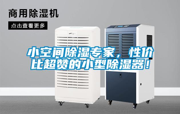 国产精品三级在线观看 小空间除湿专家，性价比超赞的小型除湿器！
