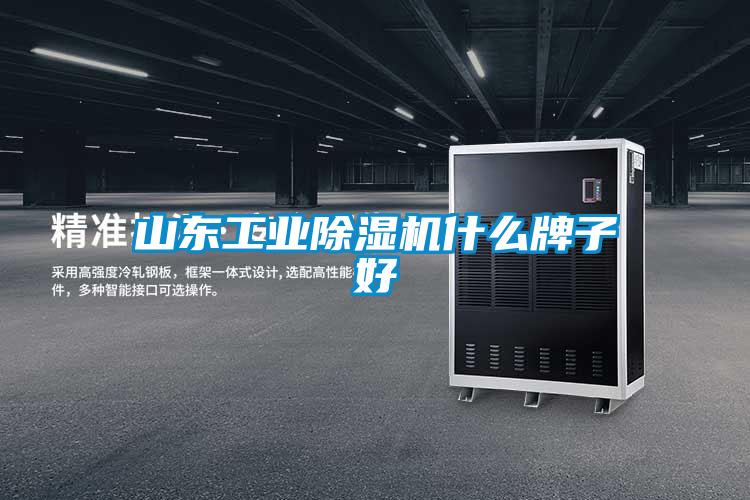 国产精品欧美激情视频 山东工业除湿机什么牌子好