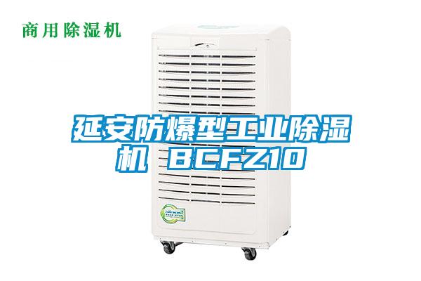 国产精品探花在线观看 延安防爆型工业除湿机 BCFZ10