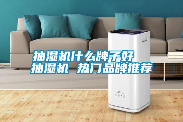 国产精品三级在线观看 抽湿机什么牌子好  抽湿机 热门品牌推荐