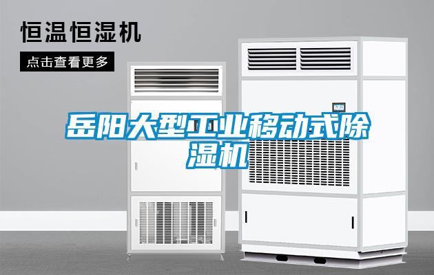 国产精品探花在线观看 岳阳大型工业移动式除湿机