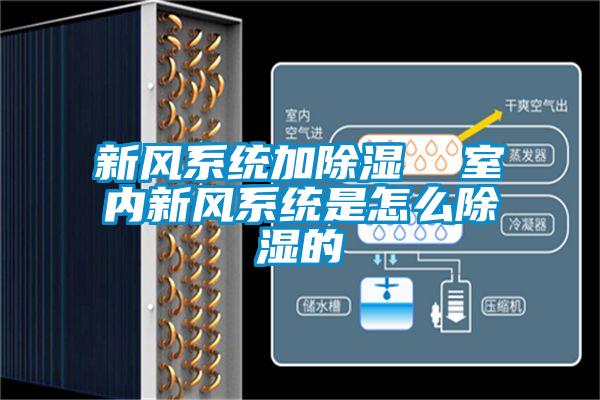 国产精品三级在线观看 新风系统加除湿  室内新风系统是怎么除湿的
