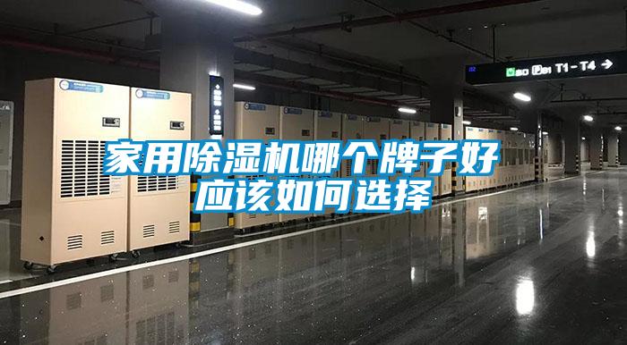 国产精品探花在线观看 家用除湿机哪个牌子好 应该如何选择