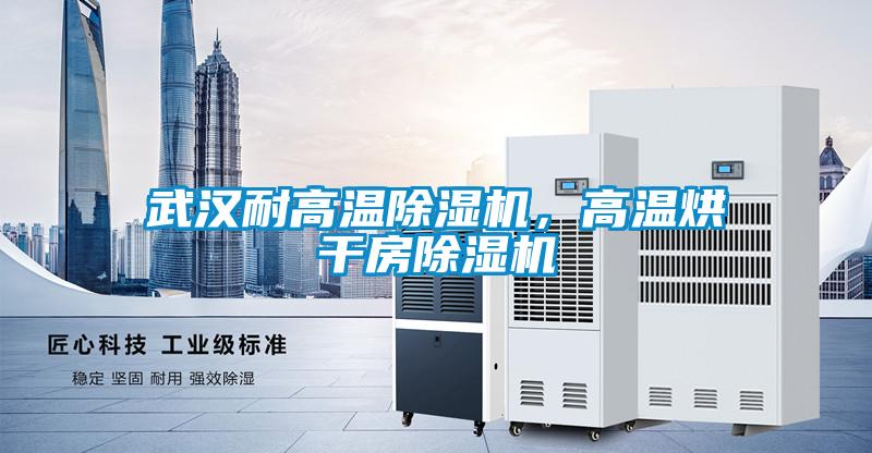 国产精品探花在线观看 武汉耐高温除湿机，高温烘干房除湿机