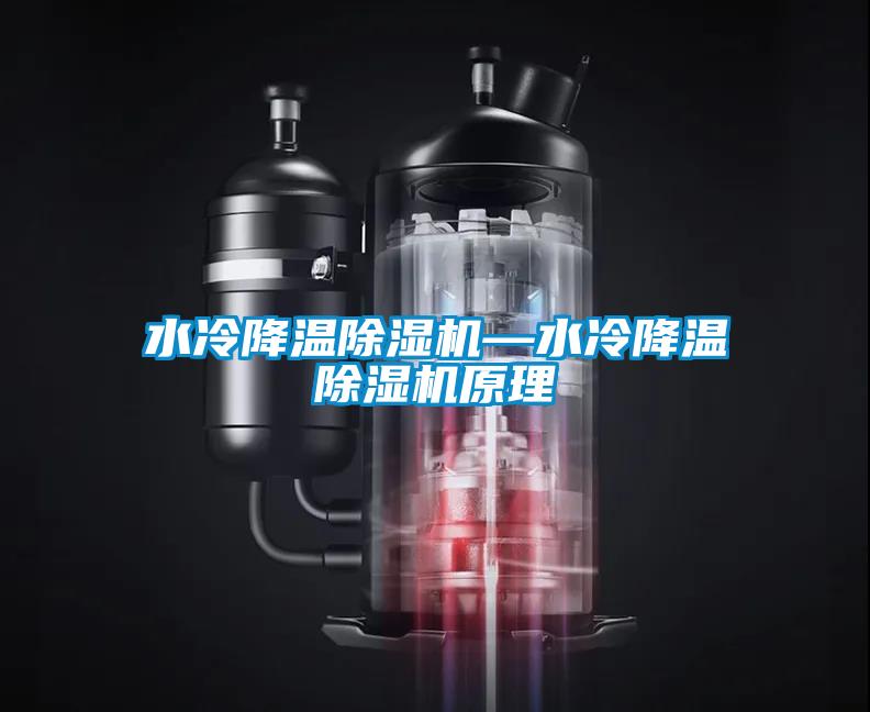 国产精品欧美激情视频 水冷降温除湿机—水冷降温除湿机原理