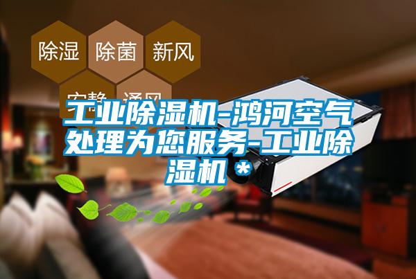 国产精品三级在线观看 工业除湿机-鸿河空气处理为您服务-工业除湿机＊
