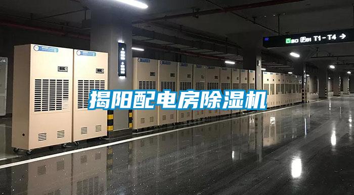 国产精品三级在线观看 揭阳配电房除湿机