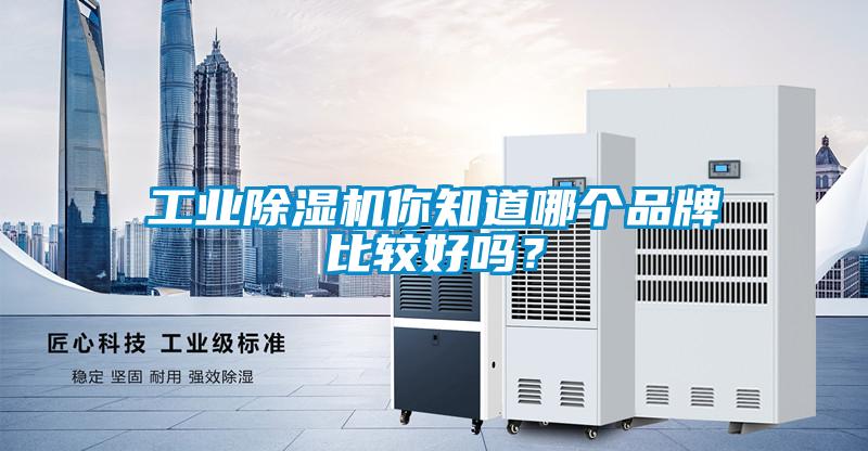 国产精品探花在线观看 工业除湿机你知道哪个品牌比较好吗？