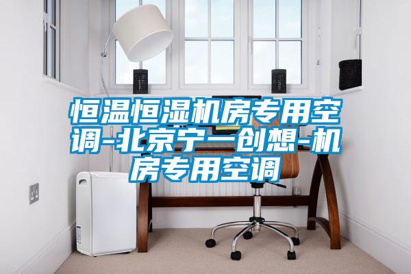 国产精品欧美激情视频 恒温恒湿机房专用空调-北京宁一创想-机房专用空调