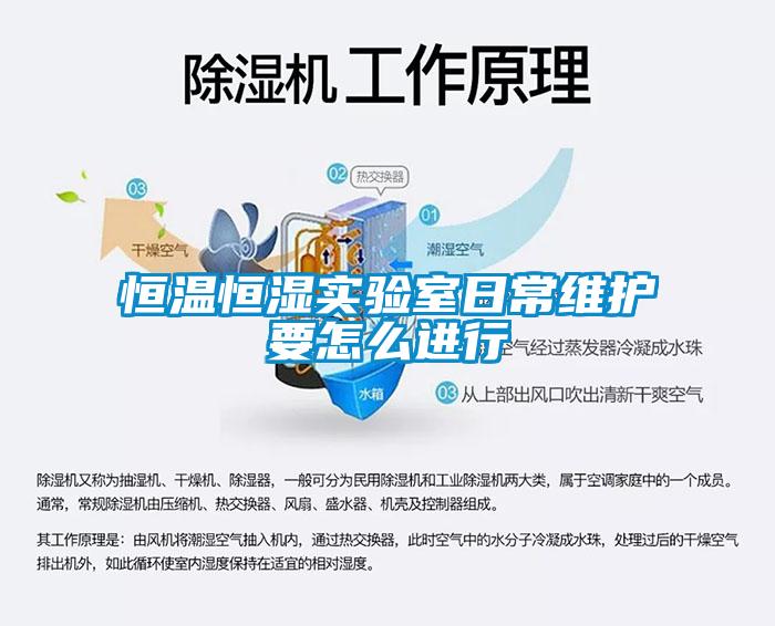 国产精品三级在线观看 恒温恒湿实验室日常维护要怎么进行