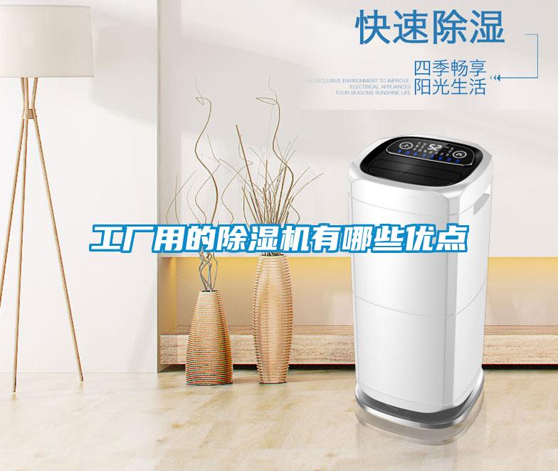 国产精品三级在线观看 工厂用的除湿机有哪些优点