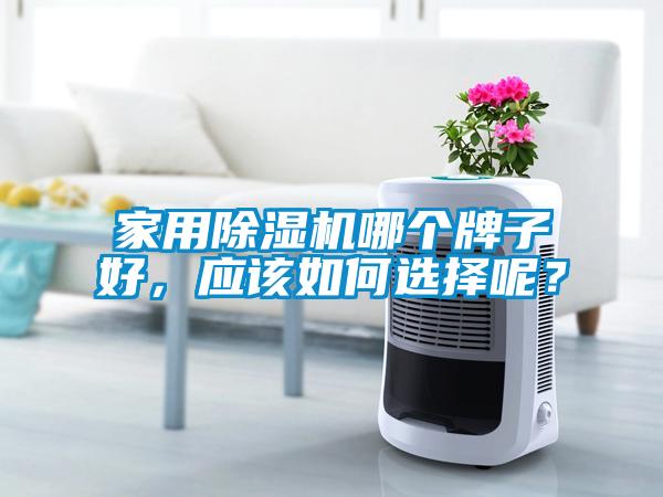 国产精品探花在线观看 家用除湿机哪个牌子好，应该如何选择呢？