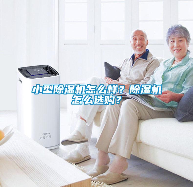 国产精品探花在线观看 小型除湿机怎么样？除湿机怎么选购？