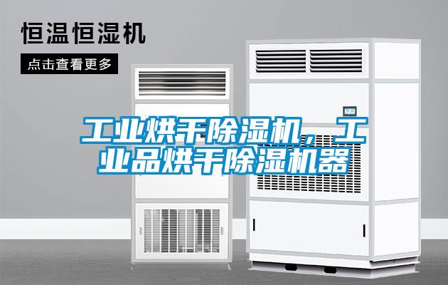 国产精品三级在线观看 工业烘干除湿机，工业品烘干除湿机器