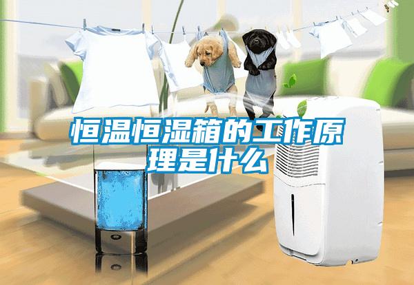 国产精品三级在线观看 恒温恒湿箱的工作原理是什么
