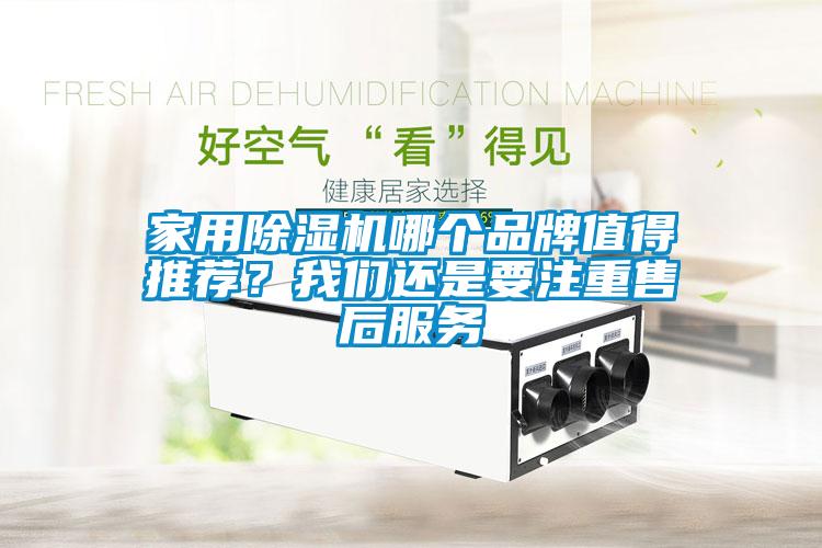 国产精品三级在线观看 家用除湿机哪个品牌值得推荐？我们还是要注重售后服务