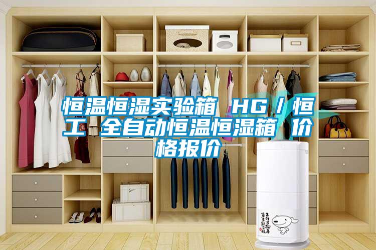 国产精品三级在线观看 恒温恒湿实验箱 HG／恒工 全自动恒温恒湿箱 价格报价