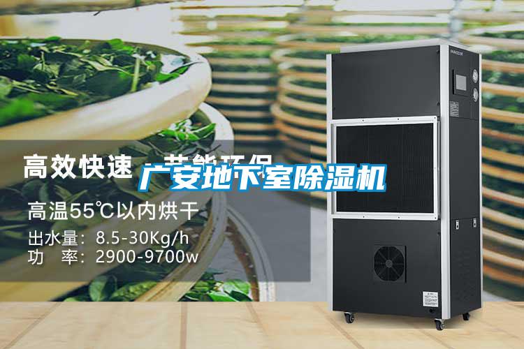 国产精品欧美激情视频 广安地下室除湿机
