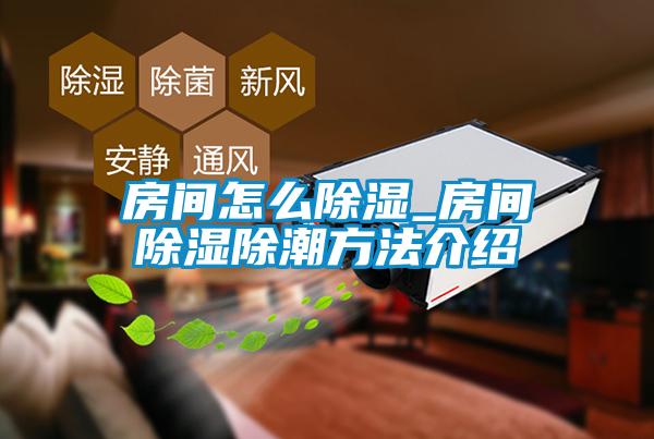 国产精品欧美激情视频 房间怎么除湿_房间除湿除潮方法介绍