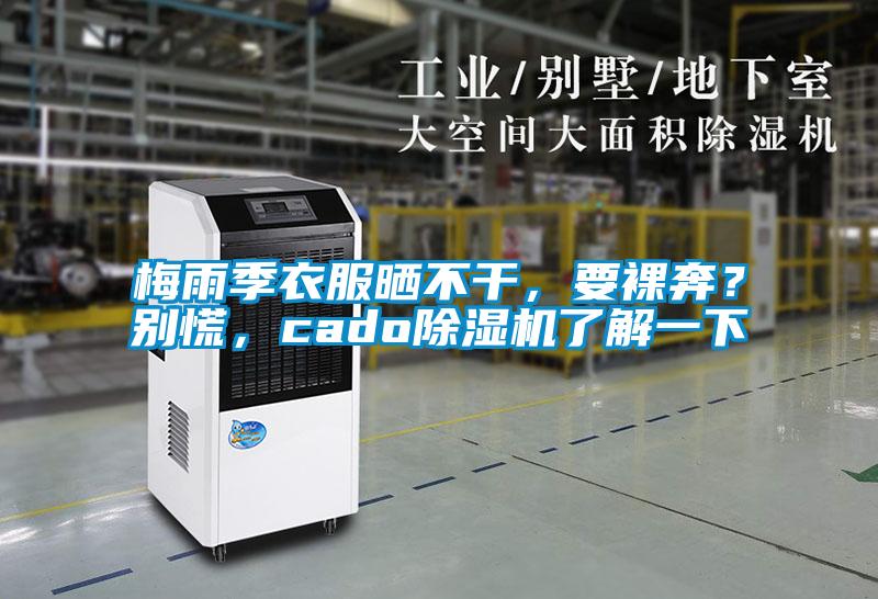 国产精品欧美激情视频 梅雨季衣服晒不干，要裸奔？别慌，cado除湿机了解一下
