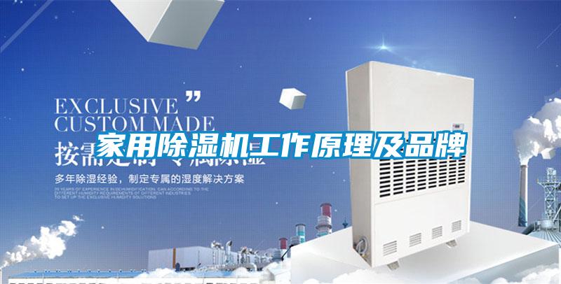 国产精品欧美激情视频 家用除湿机工作原理及品牌