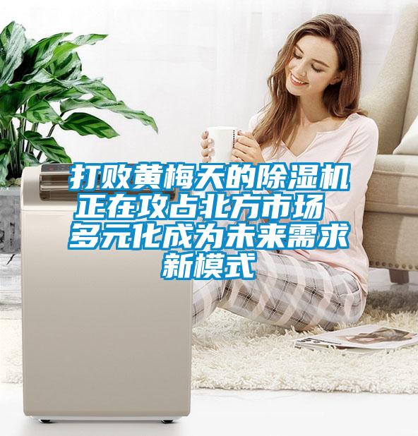 国产精品三级在线观看 打败黄梅天的除湿机正在攻占北方市场 多元化成为未来需求新模式