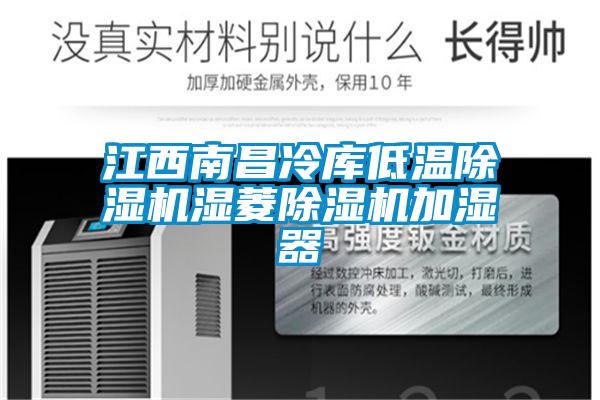 国产精品欧美激情视频 江西南昌冷库低温除湿机湿菱除湿机加湿器