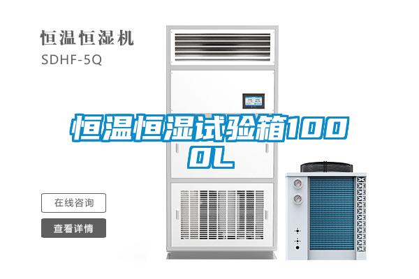 国产精品三级在线观看 恒温恒湿试验箱1000L